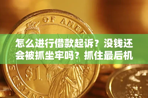 济南怎么进行借款起诉？没钱还会被抓坐牢吗？抓住最后机会！