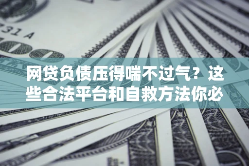 济南网贷负债压得喘不过气？这些合法平台和自救方法你必须知道！