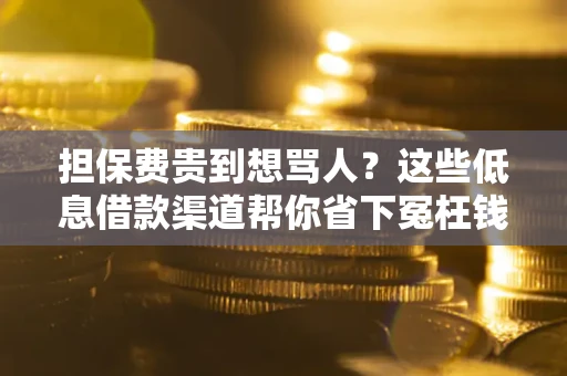 济南担保费贵到想骂人？这些低息借款渠道帮你省下冤枉钱