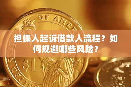 济南担保人起诉借款人流程？如何规避哪些风险？