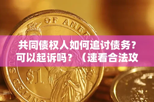 济南共同债权人如何追讨债务？可以起诉吗？（速看合法攻略）